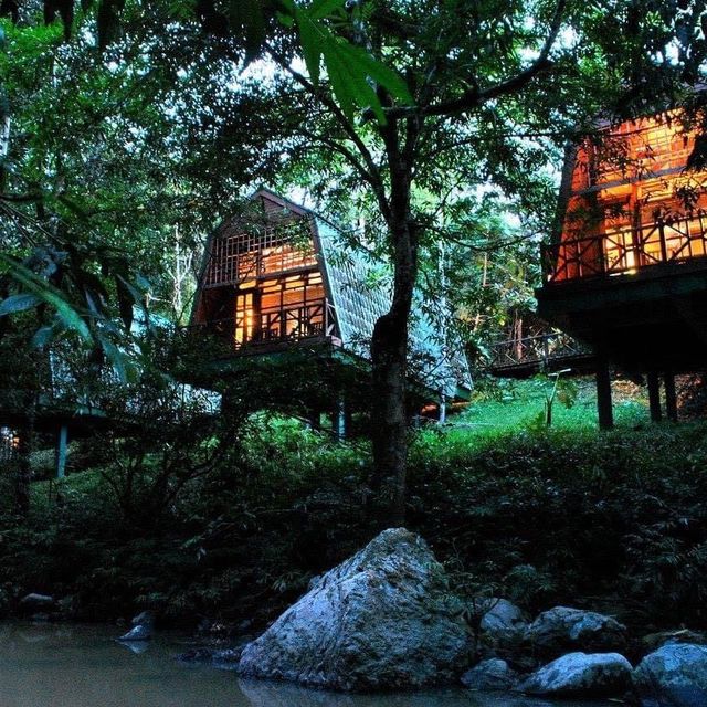Tabin Wildlife Resort