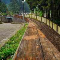 Alishan National Forest Recreation Area