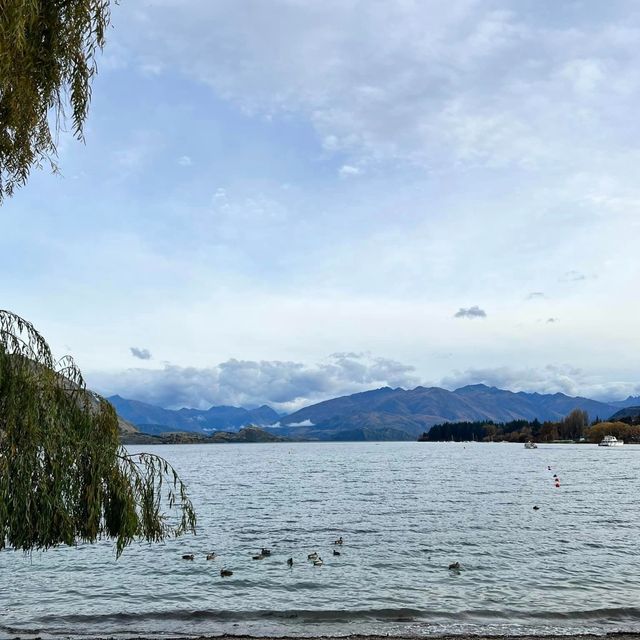 Lake Wanaka in Autumn