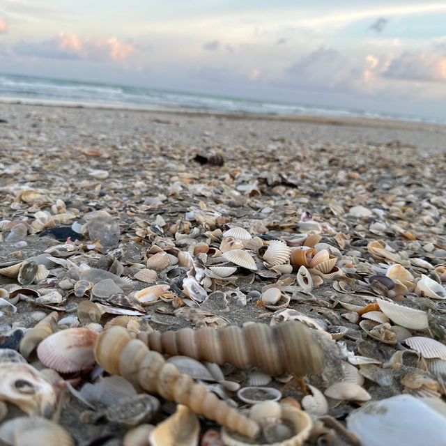 หาดแพรกเมือง หัวไทร