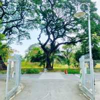 ขับรถไปสวนเบญจกิติ