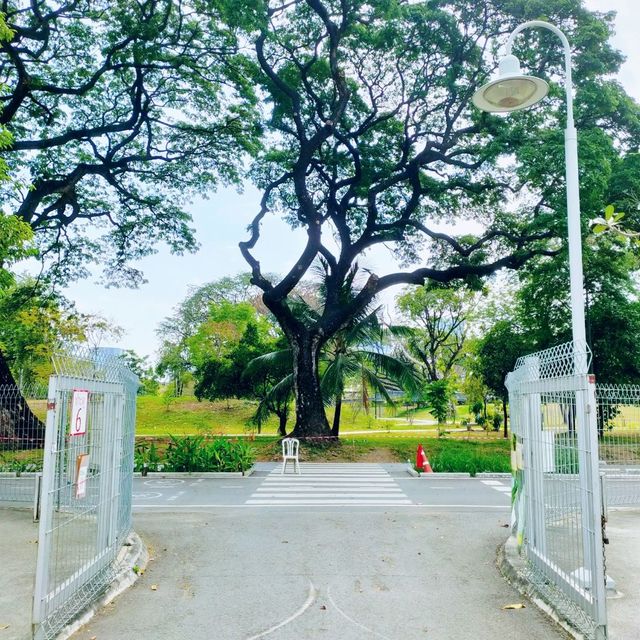 ขับรถไปสวนเบญจกิติ