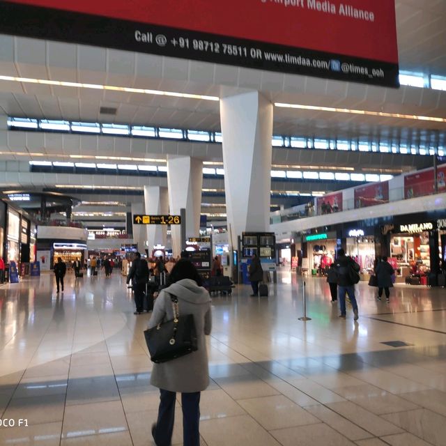 🇮🇳インド ニューデリー "インディラガンジー国際空港" 空港内に仏像!? とにかく至る所が広い空港!!