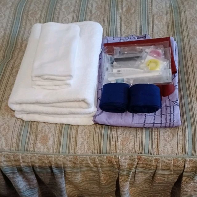【定山渓万世閣ホテルミリオーネ】1人でも快適に過ごせる温泉宿
