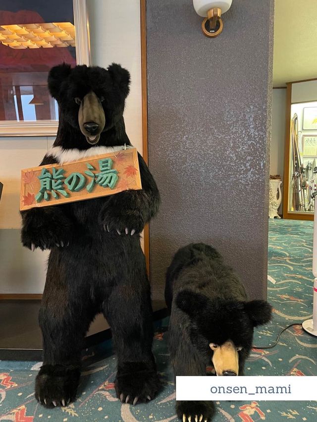 【長野 熊の湯温泉】翡翠色の温泉に入れる熊の湯ホテル🐻