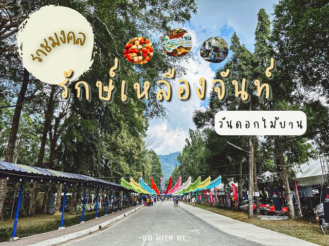งานรักษ์เหลืองจันท์ ประจำปี 2566 