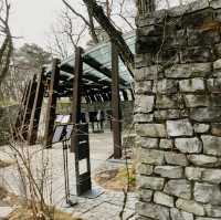Stone Church inside a forest 