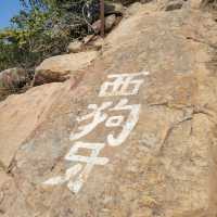 勇闖山峰西狗牙