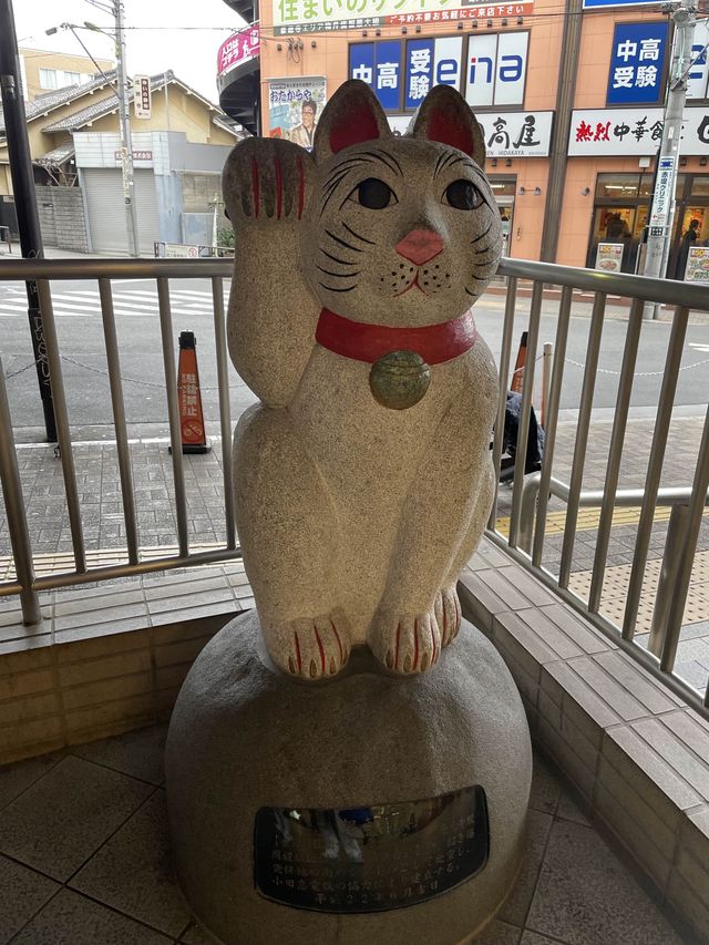 🇯🇵東京🫶🏻愛貓之人必去地方🐱❤️豪德寺📸
