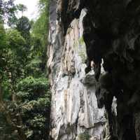 The magical Cave that is