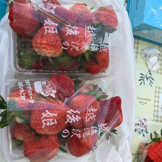 越後湯澤🍓村🤳任食🍓😍