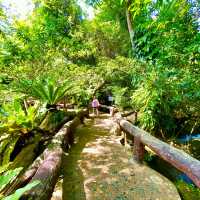 ทานข้าวกลางป่าใหญ่ ที่ร้านอาหารตำนานป่า ระยอง 🏕️