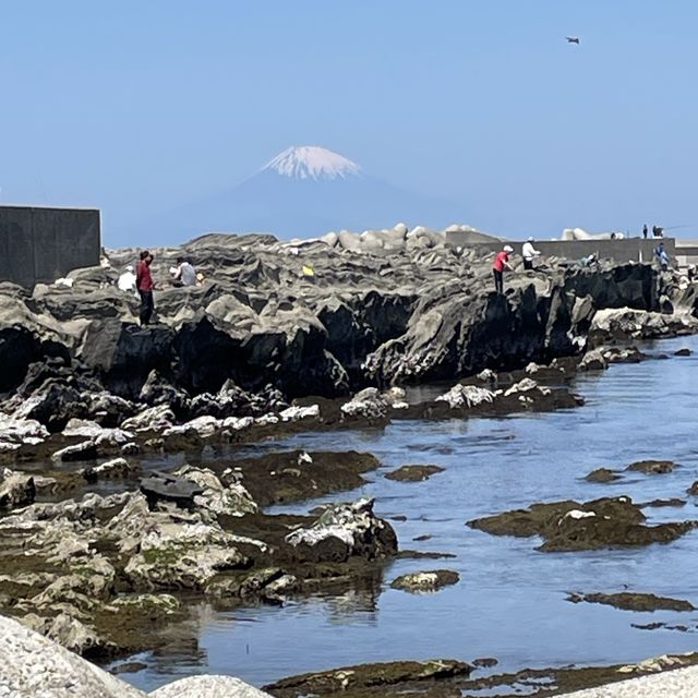 【神奈川県】三浦市　城ヶ島巡り