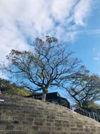 🇰🇷韓國濟州島📍 Sanbanggulsa Temple 산방굴사