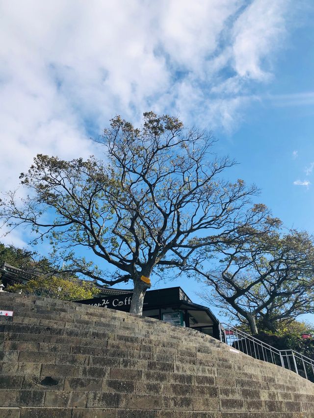 🇰🇷韓國濟州島📍 Sanbanggulsa Temple 산방굴사