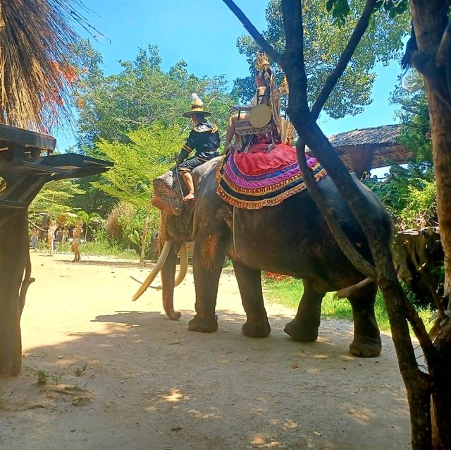 คาเฟ่ ฟีลธรรมชาติ