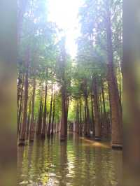 到昆明‘撈漁河濕地公園’划船去-位置實戰攻略