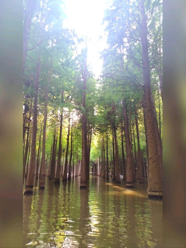 到昆明‘撈漁河濕地公園’划船去-位置實戰攻略
