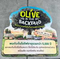 งานOlive in your backyard @theninetiwanon