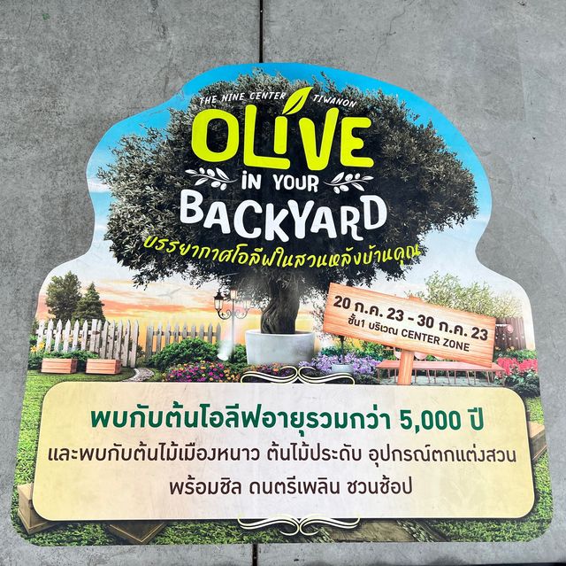 งานOlive in your backyard @theninetiwanon
