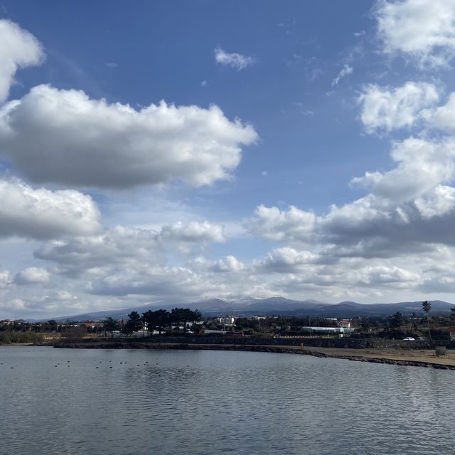 제주 코스추천, 수산봉과 이춘옥 고등어 쌈밥 💚