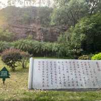東莞🌿榴花公園🌳（榴花塔🏯）一日遊🧳