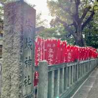 【愛知県西三河の旅】安城神社