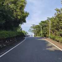 火爐山森林公園🌆大自然的悠閒遊樂場🌲🏞️🎉