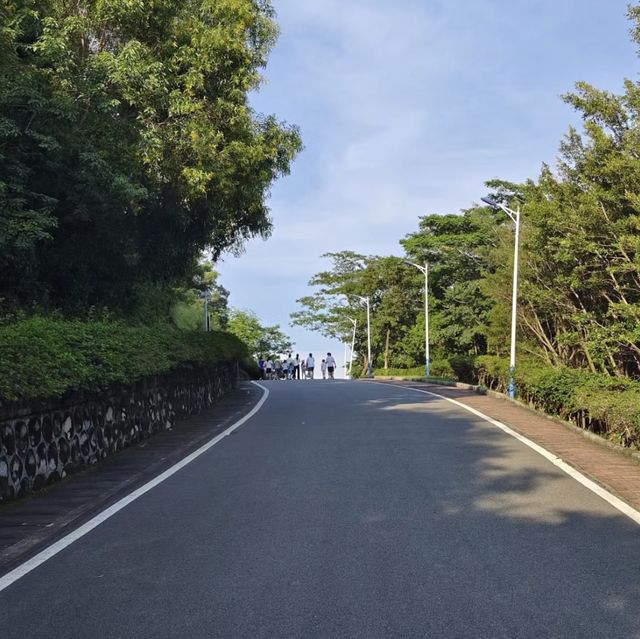 火爐山森林公園🌆大自然的悠閒遊樂場🌲🏞️🎉
