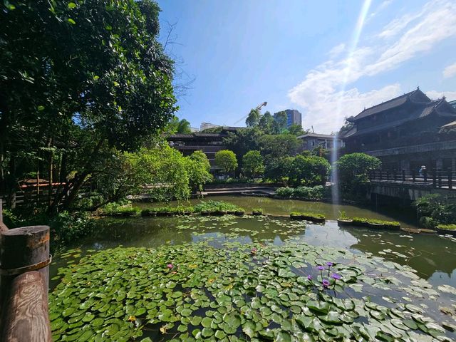 深圳一日遊景點推介