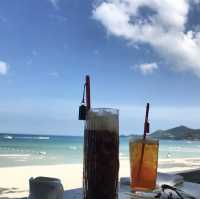 📚🏨🏖️ 求知度假！探索圖書館酒店，享受私人沙灘的閱讀樂趣！📖🏝️🏛️
