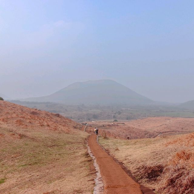 제주도 바람을 여기서 다느꼈다