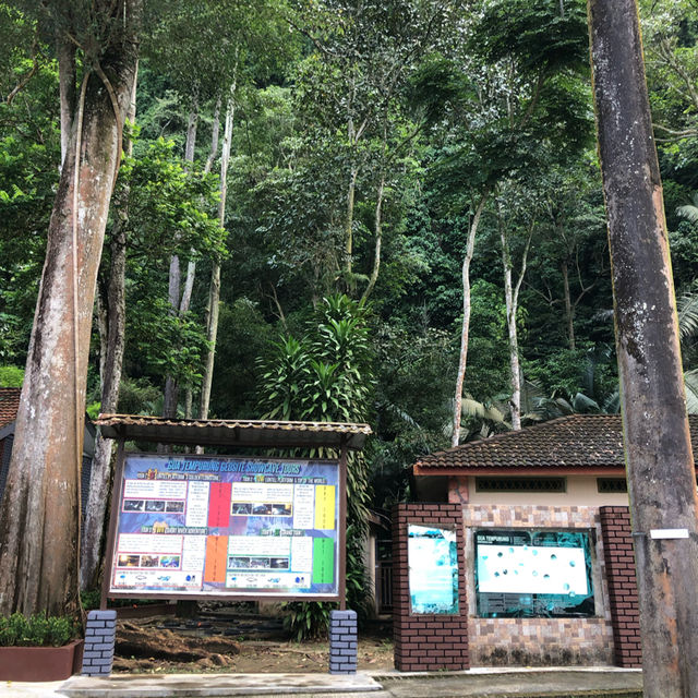 CAVE EXPLORATION IN GOPENG!