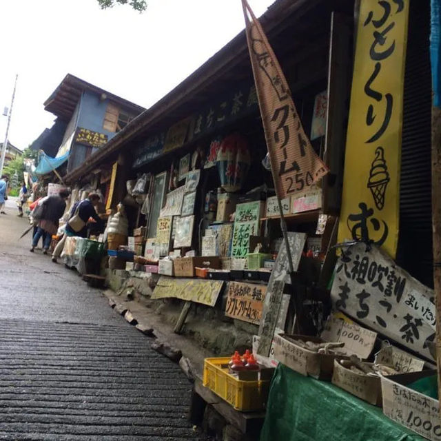 山梨、群馬バスツアー　