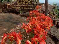 อุทยานแห่งชาติตาพระยา 