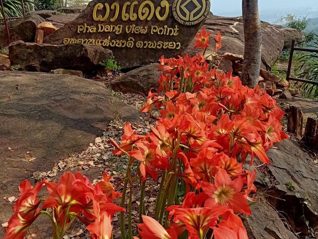 อุทยานแห่งชาติตาพระยา 