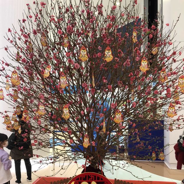 台灣網紅【黃阿瑪的後宮生活】都尼香港都大家拜年