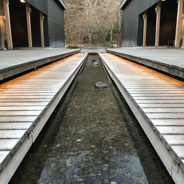 【軽井沢】トンボの湯