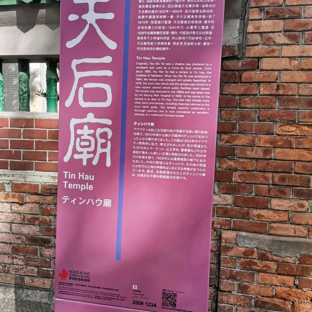 九龍市中心的綠洲