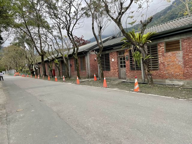沒落的林場-林田山