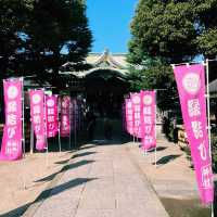 招財貓的發源地：淺草「今戶神社」無論是單身或是戀愛升溫也要一段好姻緣吧！
