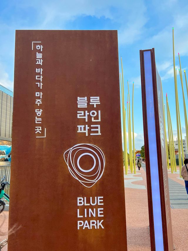 일몰타임에 필수로 탑승해야하는 해운대블루라인파크🚃