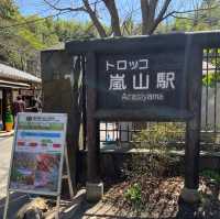京都嵯峨野小火車🌸 GO GO GO~~~