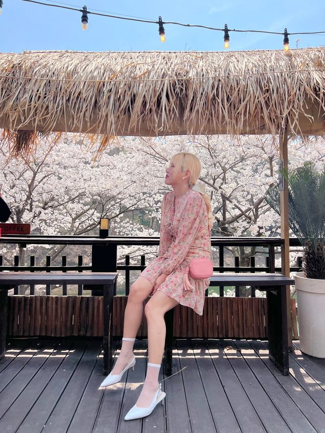 인정할 수 밖에 없는 용인 벚꽃뷰 카페 🌸
