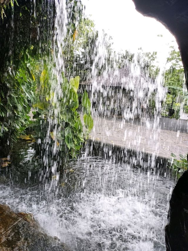 シンガポールの大自然を心ゆくまで🍃🌿