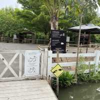 ดูบัว คาเฟ่ เพลินกับสัตว์มากมาย