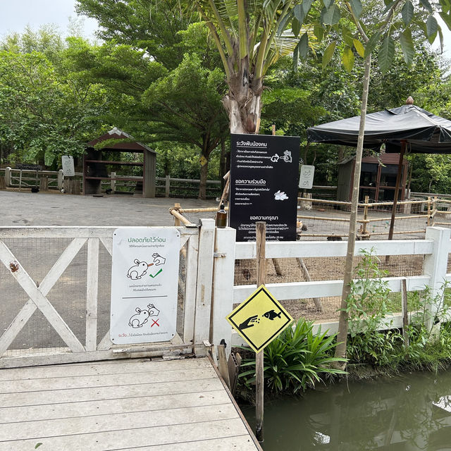 ดูบัว คาเฟ่ เพลินกับสัตว์มากมาย