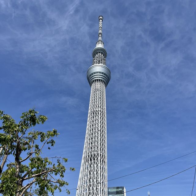 晴空塔｜東京必去景點，裡面有好多逛的美食伴手禮店家