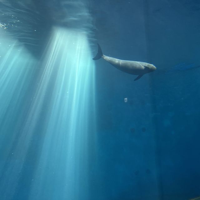 鳥羽水族館