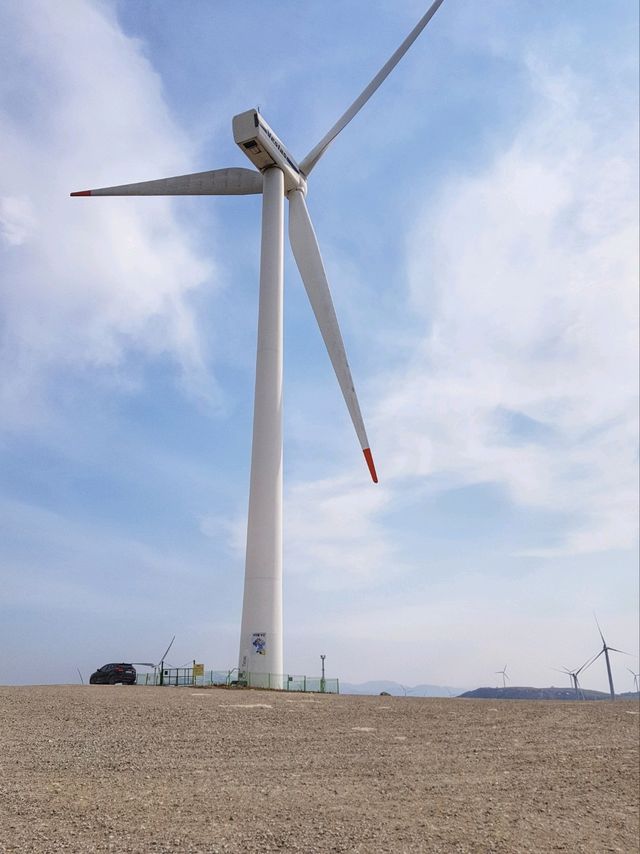 바람이 어마무시! 평창 대관령 삼양목장🐏